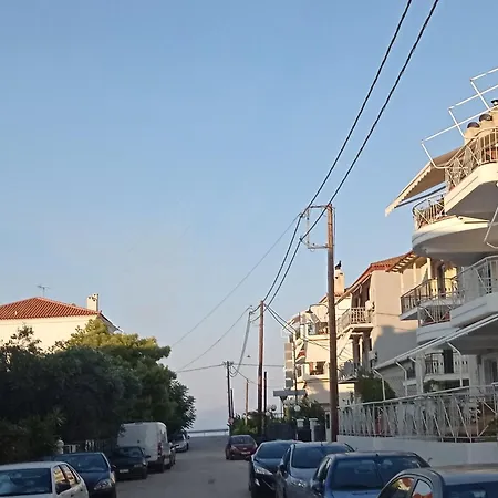 Annie's Sweet Paralio Astros