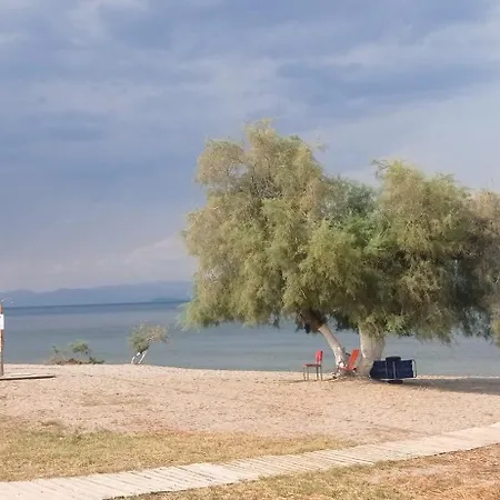 Apartment Annie's Sweet Paralio Astros