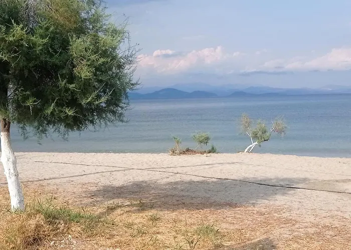 Διαμέρισμα Annie's Sweet *